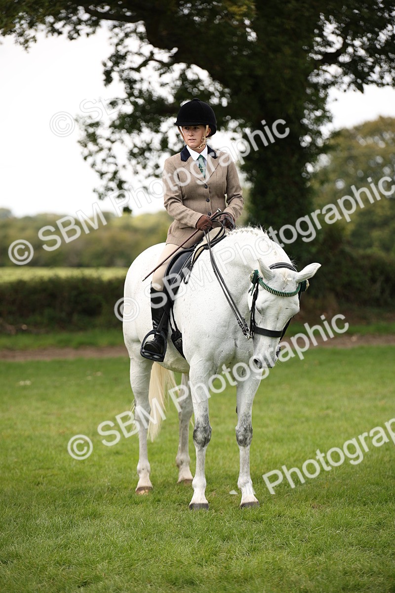 SBM_65956 - S64 - Riding Horse & Hack & Thoroughbred Ridden