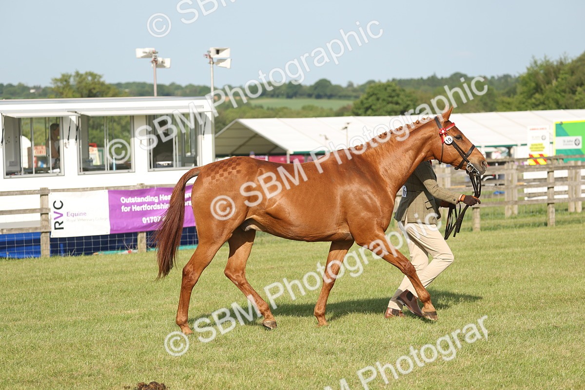 SBM_10497 - Class 33-38 - SSADL RIHS Qualifiers