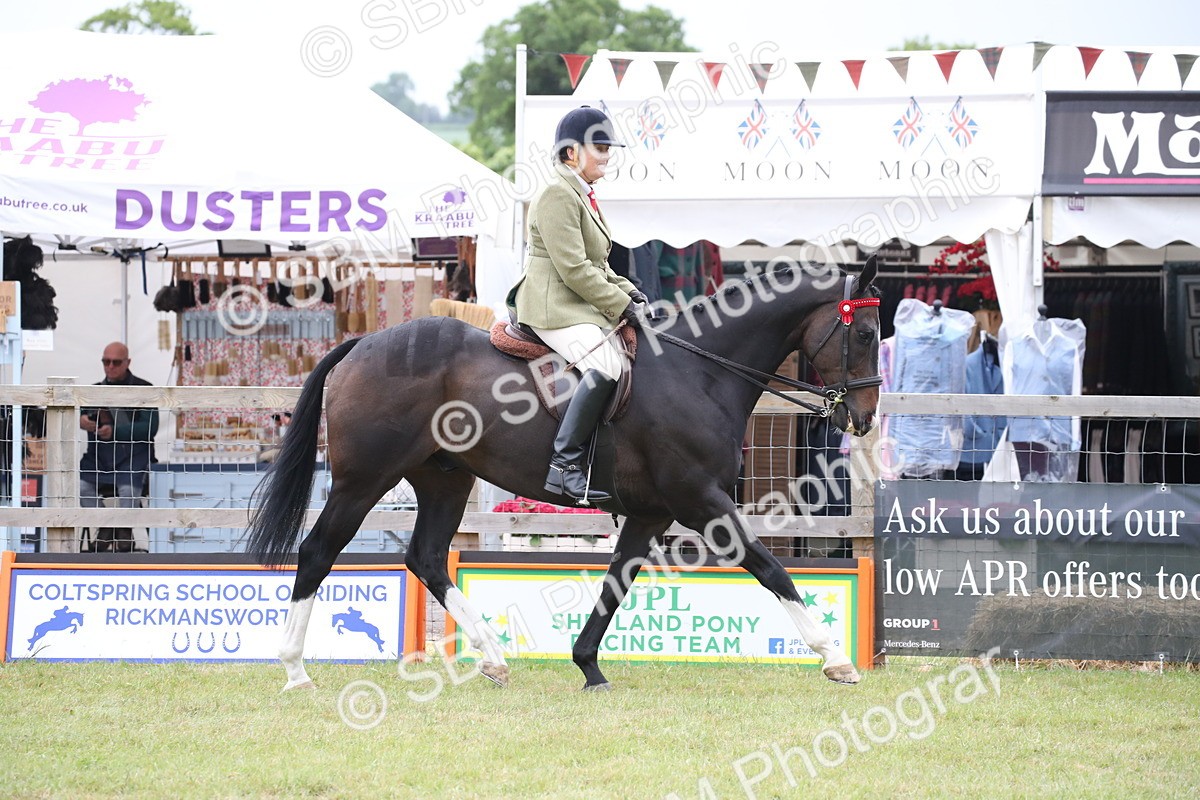 SBM_11410 - Class 94 - LIHS BSHA Racehorse to Showhorse