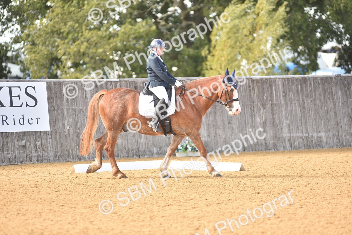 SBM_24379 - D4 - Small Tour Championship Intro 4