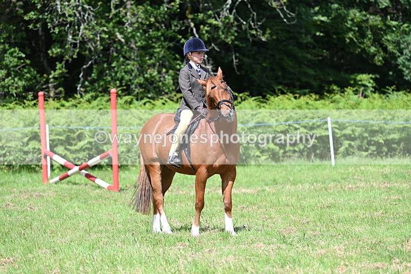 WJ7_1752 - Class 9 Pony Club Pony