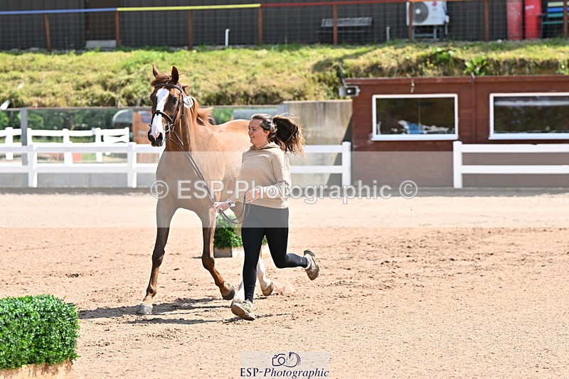 240718A-105239-00989 - Trot Up 11am to 12pm