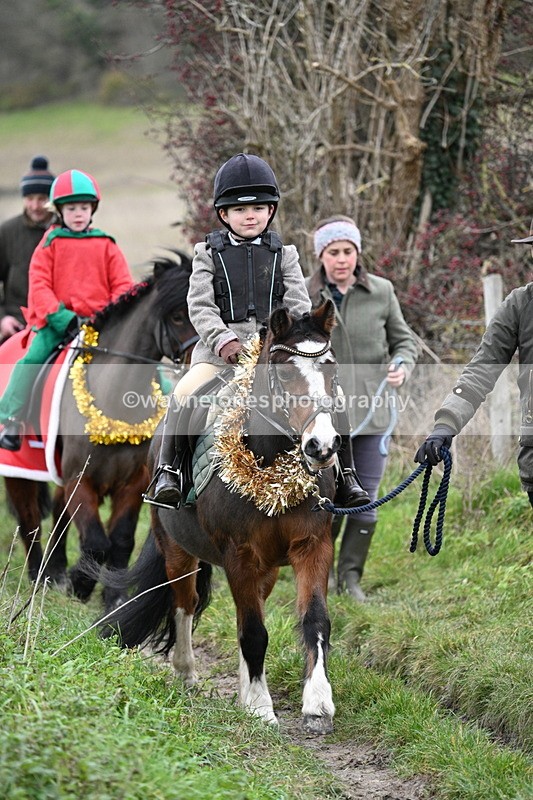 WJ7_0937 - First Seen