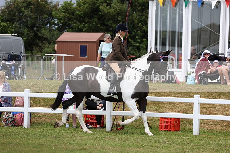 3E7A0834 - Class 8: Open Riding Horse/Hack