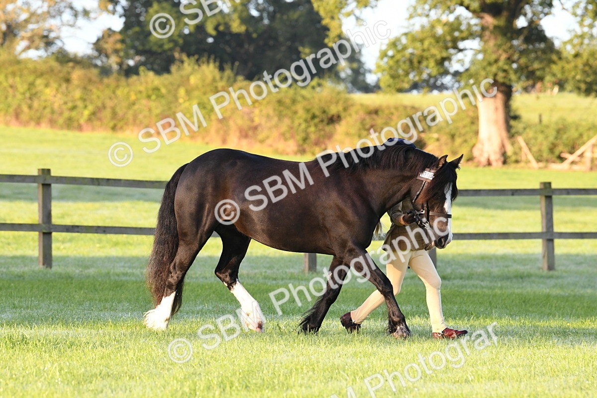 SBM_32499 - S15 - Condition & Turnout In Hand