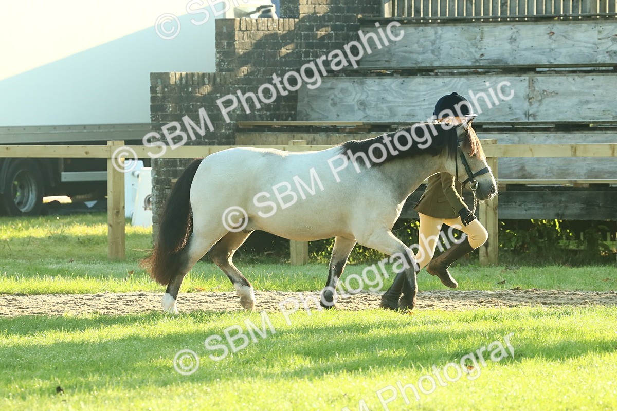 SBM_57384 - S37 - Starters In Hand Showing