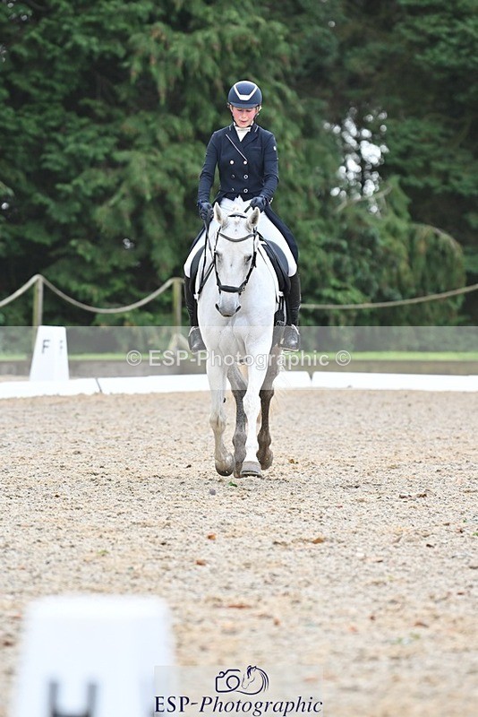 231019-122850-03115 - 114-LATINA'S.TWINKELING-Pippa.Haslam-DR