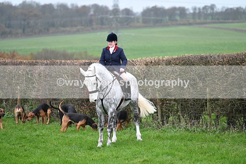 WJ7_8814 - Meet Staff & Hounds