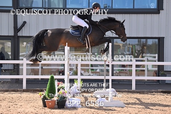 BPP_6586 - CLASS 13 FRI HOYS Talent Seeker Qualifier Inc 7 Year Old Horse Championship Qualifier