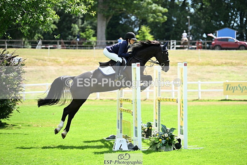 250703A-112012-03181 - Cls 1 Snr Foxhunter