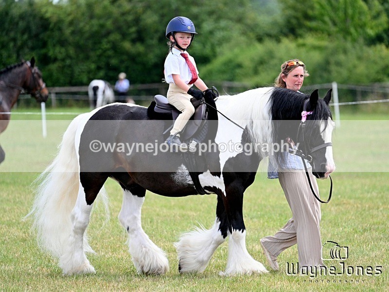 WJ7_8174 - Nancy And Churchill SORC summer show 21-06-26