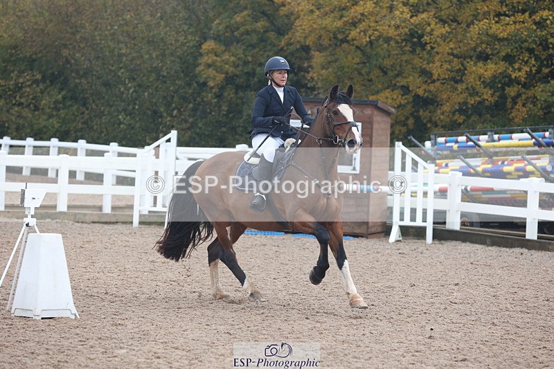 231112A-101316-03252 - Cls 17 Blue Chip Novice Winter Qualifier