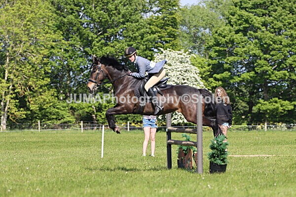 IMG_4769 - Working Hunter