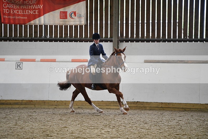 WJ5_7793 - Class 13 Ridden Part Breed