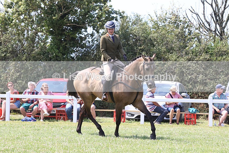 JPP_3317 - Class 22: Working Hunter 70cm