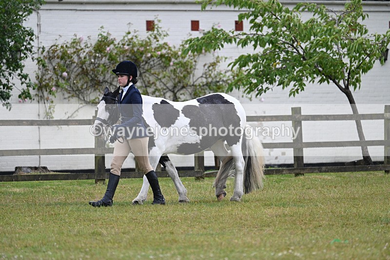WJ7_5727 - Class 4 Prettiest Mare in Hand