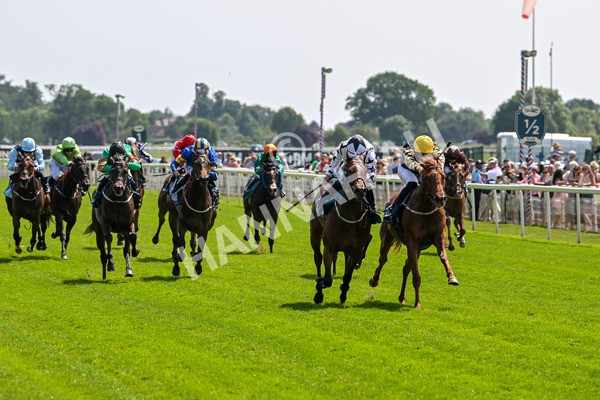 130625-Race 2-Carnation Queen-8618 - Race 2 2.25pm Coopers Marquees Rous Selling Stakes
