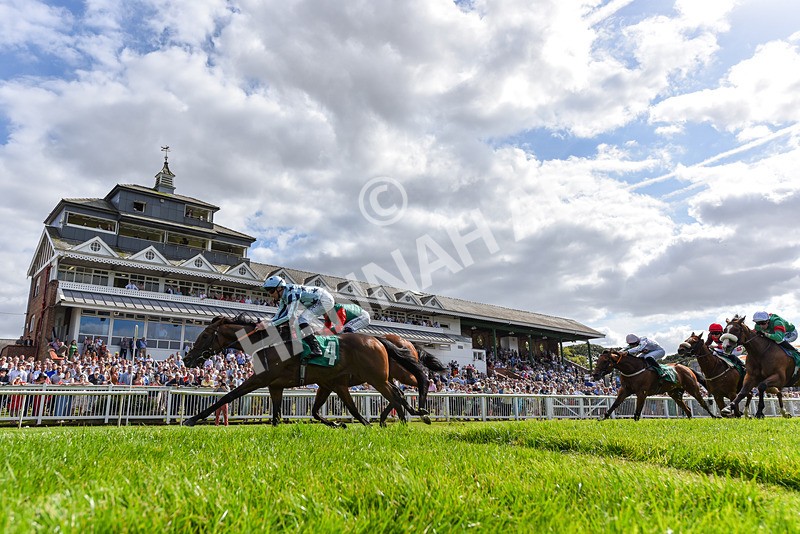 030824-Race 4-Cerulean Bay-2464 - Race 4