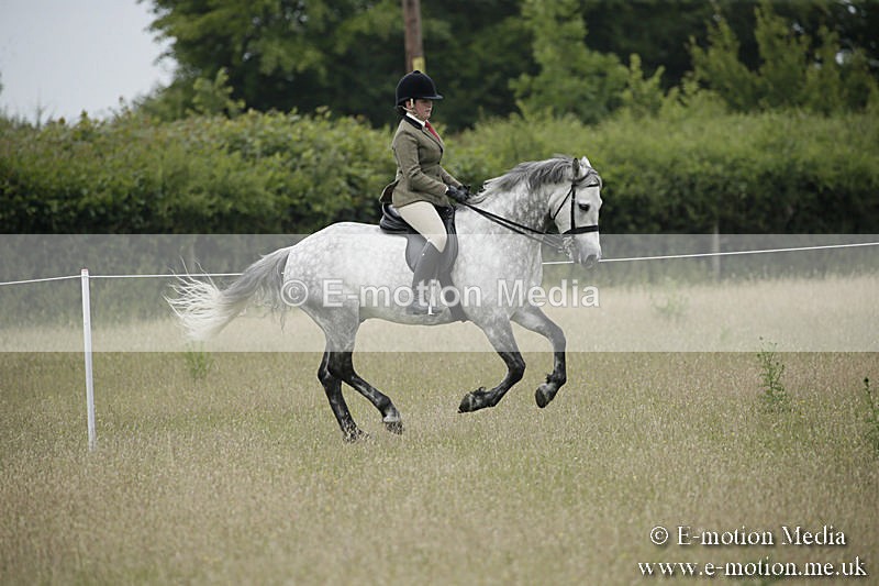 B230619-0522 - Bourne Valley Riding Club Summer Show 23/06/19
