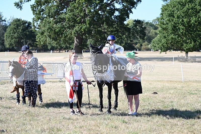 WJ7_2611 - Class 45 Fancy Dress (My Fav)