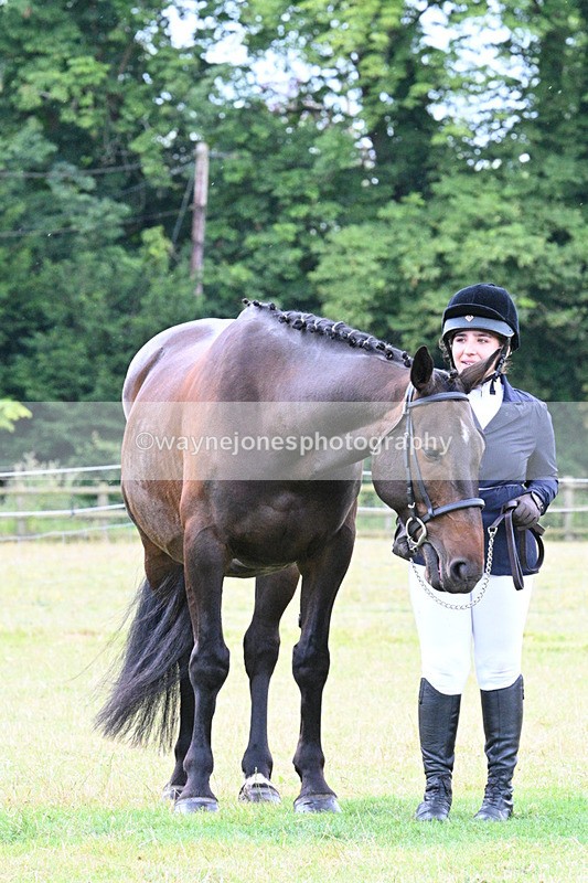WJ7_7218 - Class 5a Most Handsome Gelding in Hand