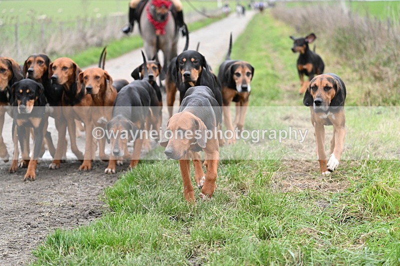 WJ7_1241 - Walk Home