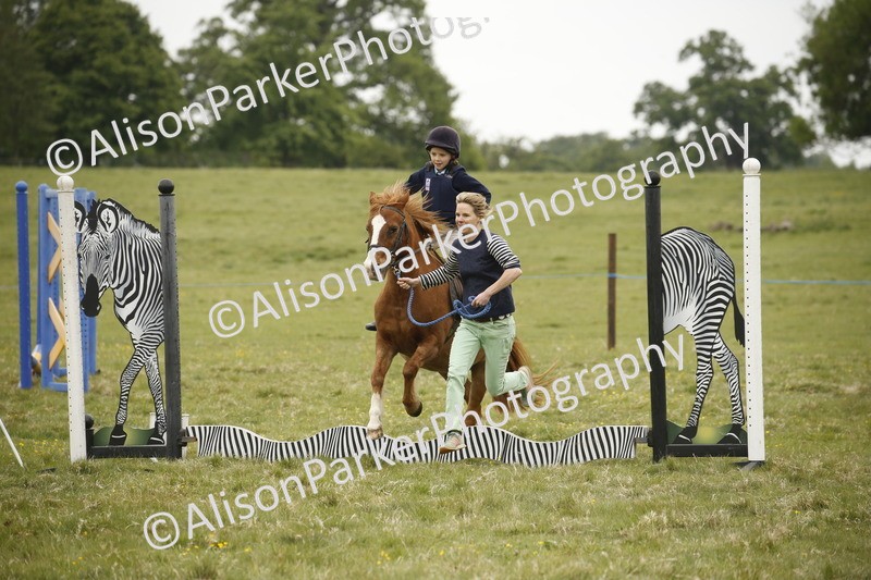 20250517-0244 - Class 1 - 30cm On Lead Rein