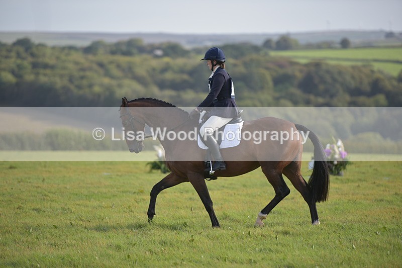 RAY_7249 - Class 2B: Trekenning Open: Dressage
