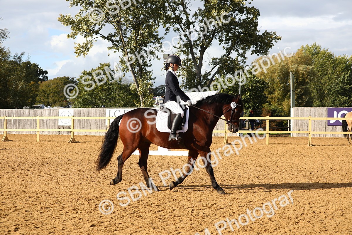 SBM_52598 - D23 - Junior Championship Prelim 1