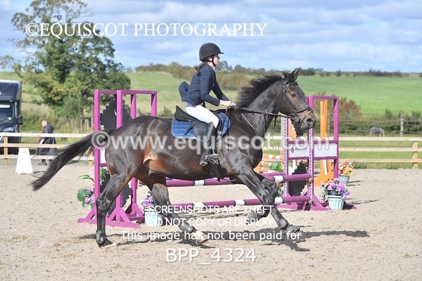 BPP_4324 - CLASS 6 HORSE 60CM FINAL