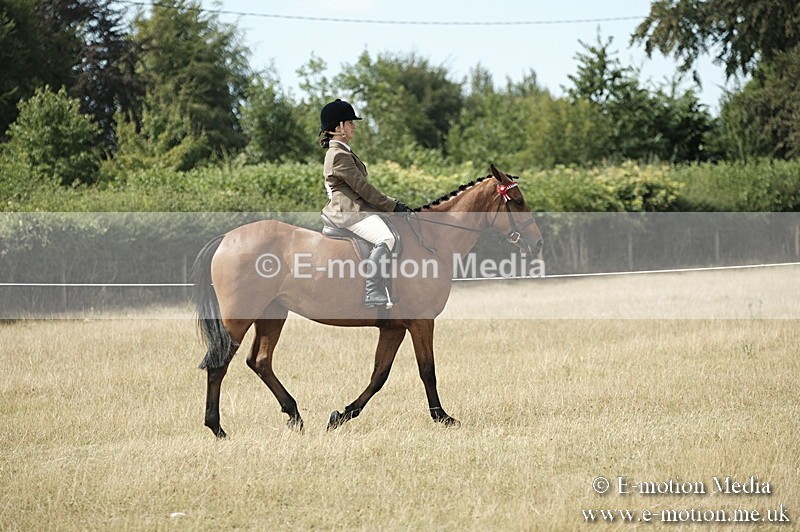 _PJP6098 - Ridden Championship BVRC Show 2018