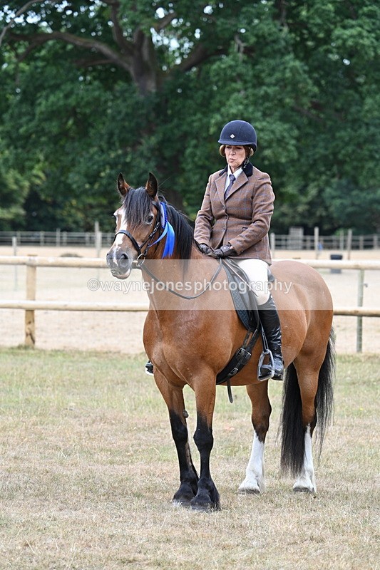 WJ7_0708 - Class 6 Ridden Mountain and Moorland