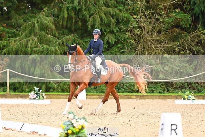 231020-145815-10052 - 311-DALOUBET.MANSOLEIN.Z-Kat.Raybould-DR