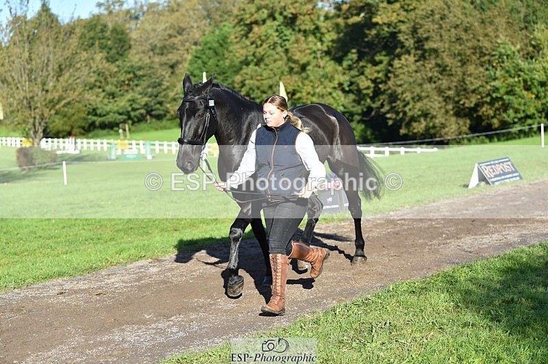 231022-103828-22636 - 505-MR.DARCY-Eleanor.Newcombe-TrotUp+SJ