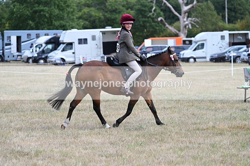 WJ7_5973 - Class 13 Ridden Veterans