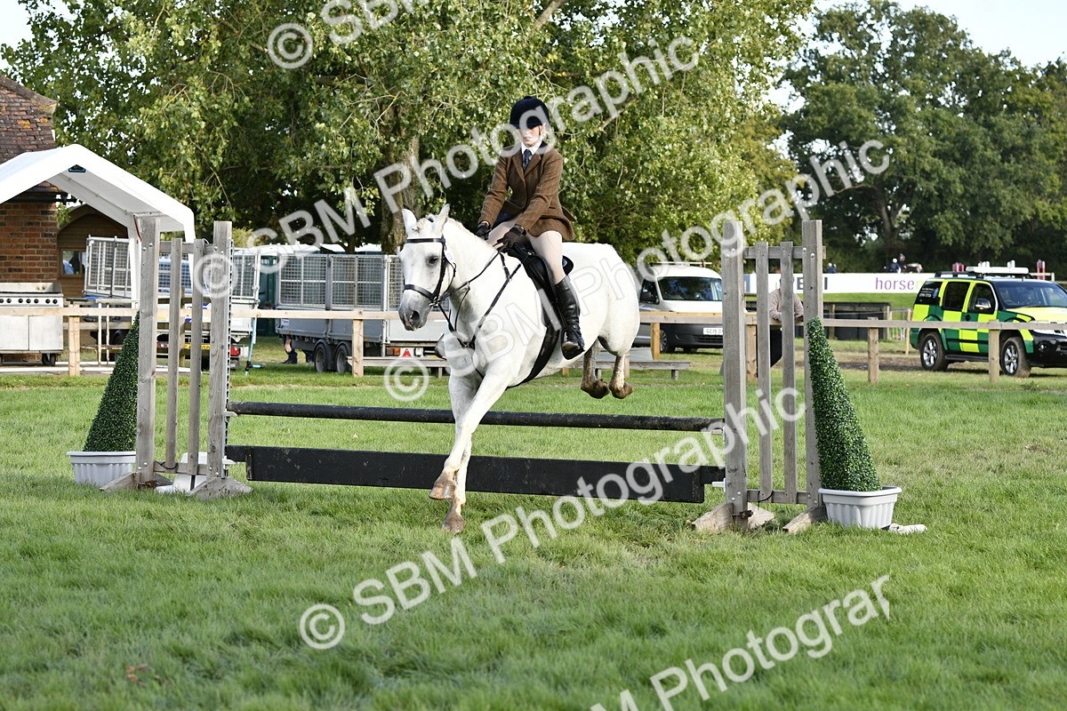 SBM_52179 - S35 - Working Hunter & Working Show Horse