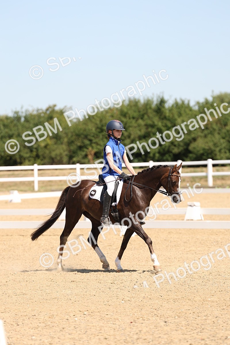 SBM_001178 - Intro 2