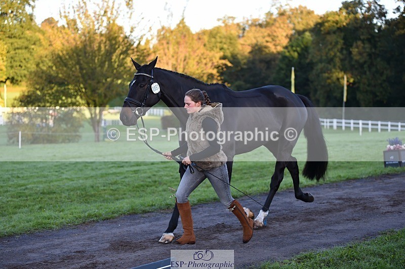 231022-083716-21261 - 657-WATERVALLEY.DIAMOND-Holly.Horton-TrotUp+SJ