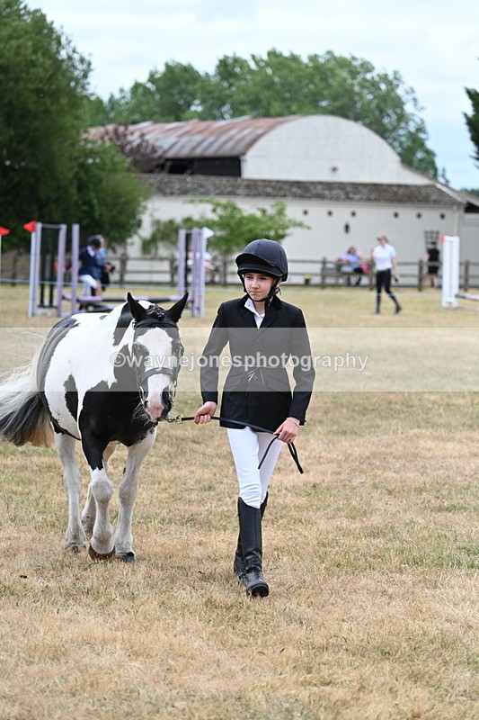 WJ7_1425 - Class 4 Prettiest Mare up to 14.2hh in hand