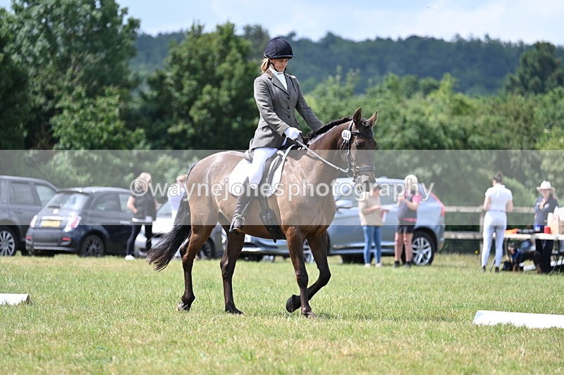 WJ7_4854 - Time 11:22 to 11:51