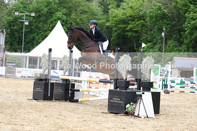 3E7A6096 - Class 4: Senior British Novice/90cm open
