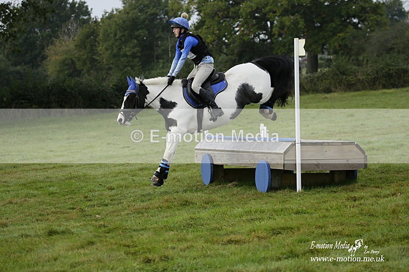 WWHT 171021 0245 - Novice Restricted (0.80m)  17/10/21