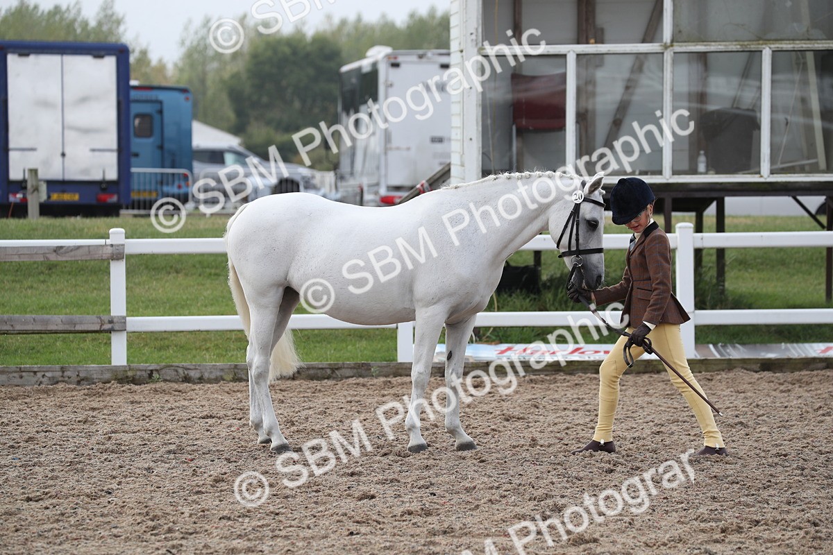 SBM_23087 - Class 605 - 2025 Area - IH Veteran