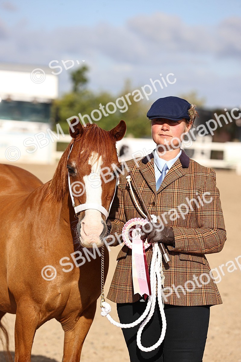 SBM_08549 - Class 402 - IH Veteran Pony