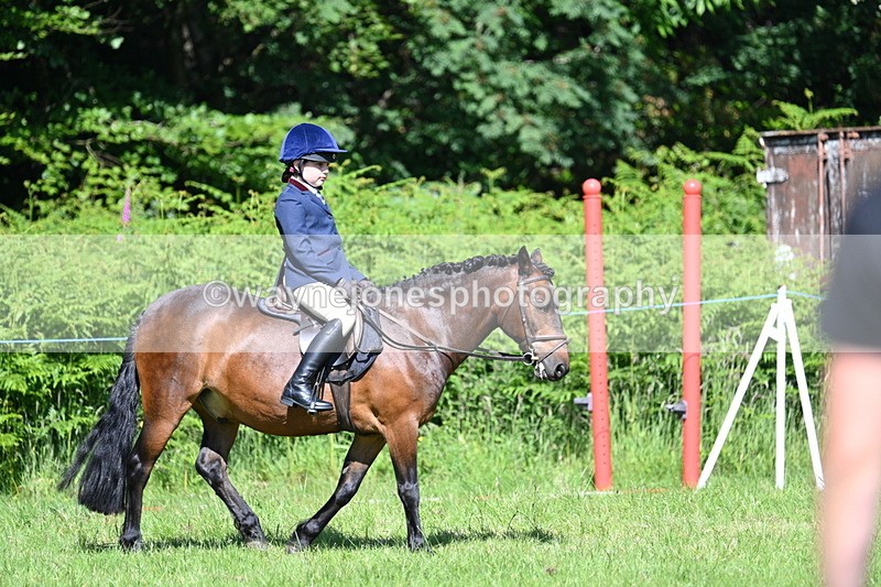 WJ7_0657 - Class 8 First Rally Pony