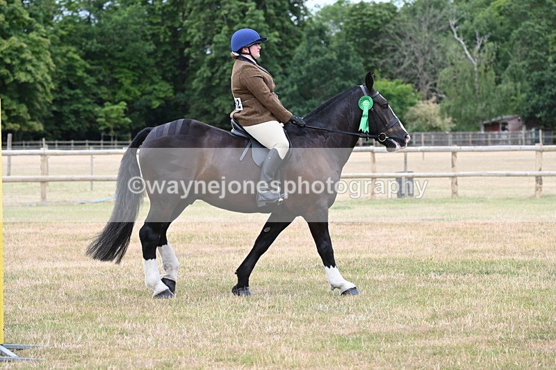 WJ6_4094 - Class 9 Tack & Turnout