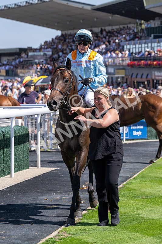 120826-Race 1-Lexington Boom-5131 - Race 1 14.15pm Macan At Porsche Centre Hull EBF Restricted Novice Stakes