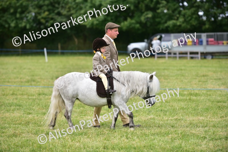 20260614-3637 - Class 15 - Prettiest Mare