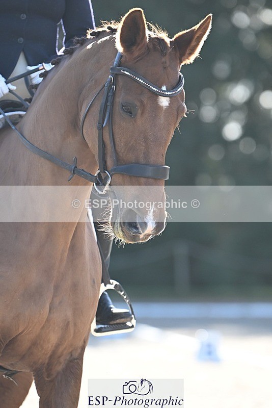 231110-121838-00642 - Cls 3 Novice 22