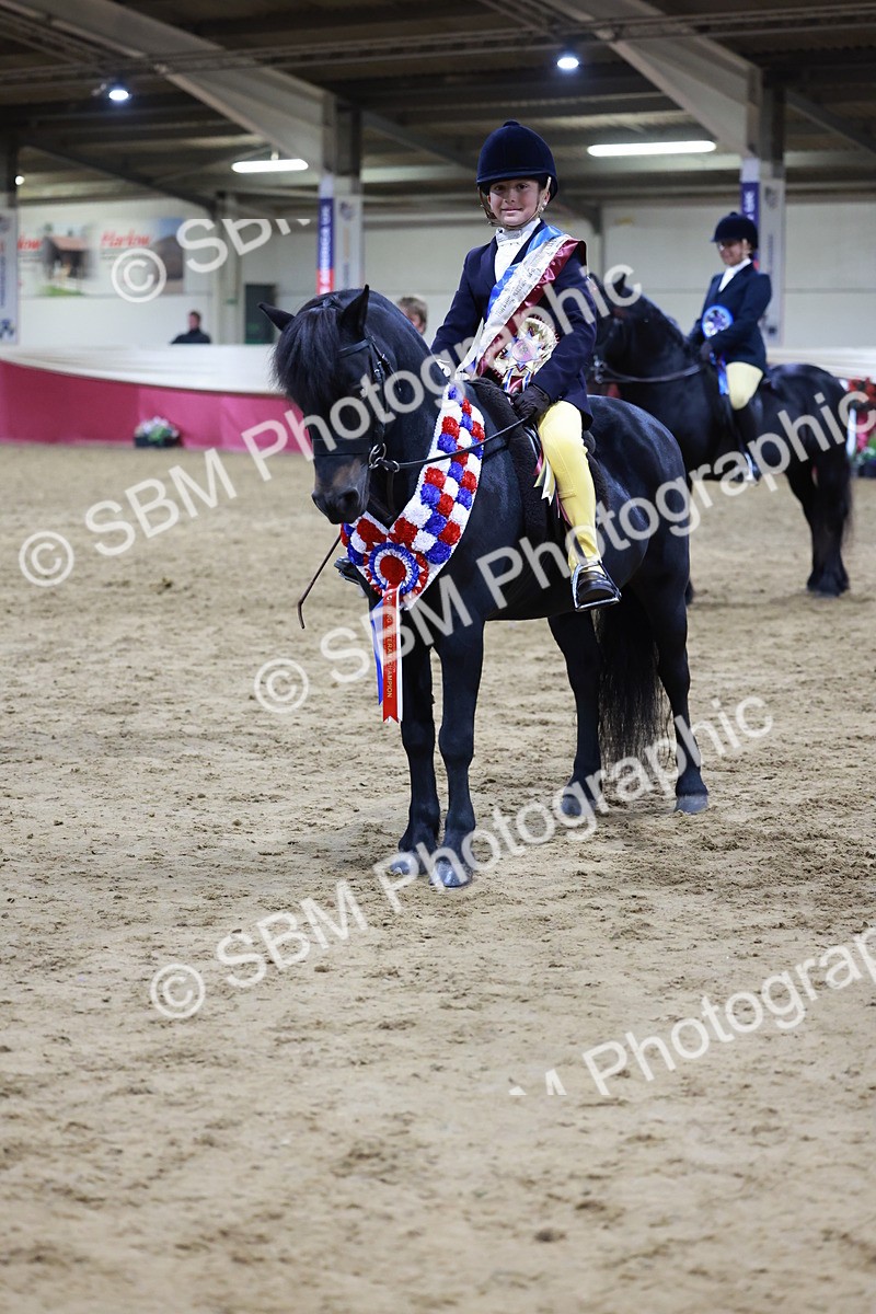 SBM_21391 - Class T - Working Veteran Champs